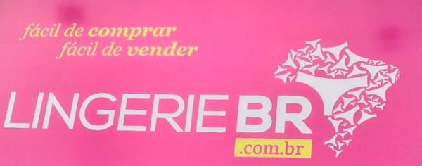 Como se tornar um revendedor de sucesso com a parceria da Lingerie BR 