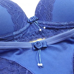 Conjunto com Bojo em Microfibra e Renda Azul Bic